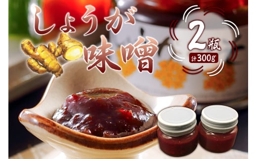 しょうが味噌 150g×2個 mi0005-0007 [辛味 房州生姜 甘辛 味噌 みそおでん 野菜炒め 高家ふるさと産品 国産 ごはん おかず]
