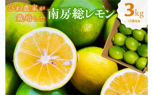 【TVで紹介!】びわ農家が栽培した「南房総レモン」3kg mi0090-0001【ちばエコ農産物 ユーレカ 調味料 果物 フルーツ グリーンレモン イエローレモン 柑橘 お取り寄せ グルメ】