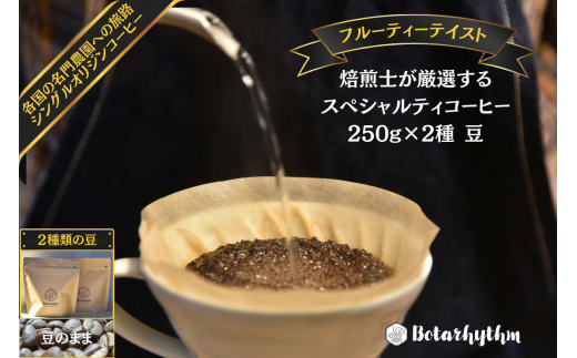 スペシャルティーコーヒー 【フルーティーテイスト】 250g×2種類【豆のまま】 mi0043-0010-1 【コーヒー 飲料 フルーティー 果実味 焙煎 セレクト ドリップ オリジナルレシピ付き】