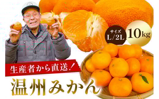 【先行受付 2025年11月20日頃から順次発送】 温州みかん 10kg 【サイズL又は2L】 mi0032-0003-2【果物 フルーツ 果実 みかん オレンジ 柑橘 食品 国産】