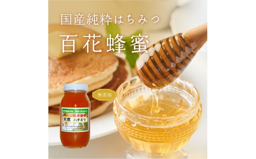 日本蜜蜂ハチミツ450g  | はちみつ 吉野町 幻の蜂蜜 蜜 ハニー 健康 甘い