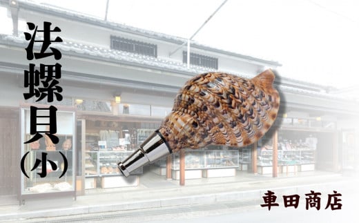 法螺貝(小)《車田商店》