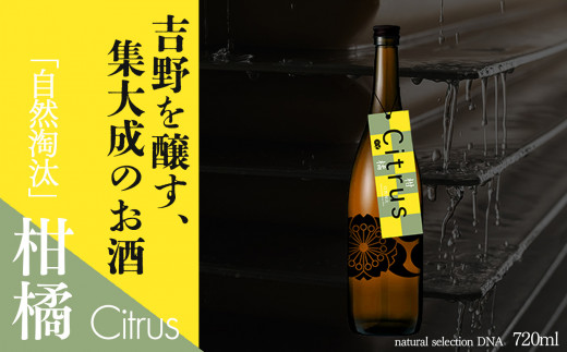 自然淘汰 natural selection DNA Citrus"柑橘"|日本酒 酒蔵 限定品