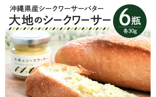 沖縄県産 シークワーサーバター「大地のシークワーサー」6瓶入り フルーツバター シークワーサー 沖縄 果物 バター ジャム 朝食 フルーツ パン デザート スイーツ 酸味 甘み ギフト プレゼント 沖縄県 糸満市
