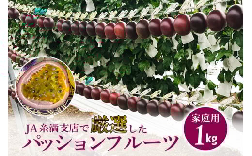 【 先行予約 2026年 発送 】 JA糸満支店で厳選した「 パッションフルーツ 」家庭用 約 1kg 果物 フルーツ くだもの 1キロ 沖縄 果実 南国フルーツ 沖縄県産 美味しい 甘い あまい 甘み 酸味 爽やか 産地直送 農家直送 産直 沖縄県 糸満市