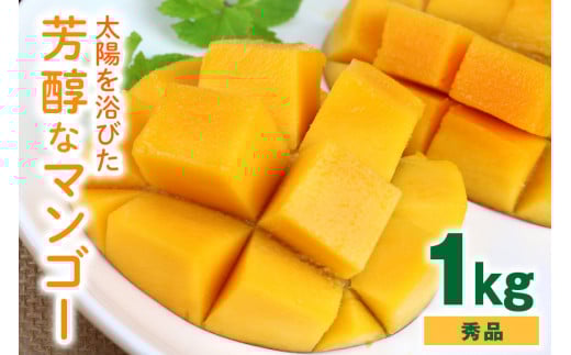 【 先行予約 2026年 発送】 沖縄の太陽を浴びた芳醇なマンゴー 1kg ( 秀品 ) 沖縄県産 マンゴー アップルマンゴー アーウィンマンゴー 1キロ 国産 完熟マンゴー 果物 南国 くだもの フルーツ 完熟 夏 旬 沖縄 お取り寄せ 産地直送 農家直送 糸満市