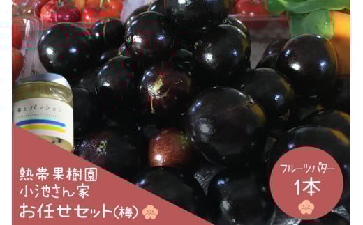 【先行予約 2026年 発送】熱帯果樹園小池さん家 お任せ セット （梅） フルーツバター 大瓶 1個入り 沖縄 旬 フルーツ 薬味 ハーブ 野菜 ナッツ お任せセット 果物 バター 詰め合わせ パッションフルーツ マンゴー ライチ 旬の果物 おまかせ