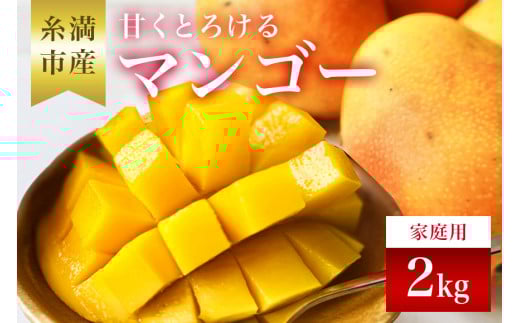 【先行予約 2026年 発送】かねよしマンゴーの甘くとろける マンゴー 2kg 家庭用 沖縄県産  アップルマンゴー アーウィンマンゴー 国産 完熟マンゴー 果物 南国 くだもの フルーツ 完熟 夏 旬 特産品 沖縄 お取り寄せ お土産 甘い 濃厚 糸満市