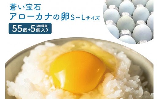 はっこう卵 アローカナ S~L サイズ 55個 +破卵保障5個 卵 サイズ おまかせ 青卵 鶏卵 たまご タマゴ 優良醗酵飼料 おいしい 生卵 味卵 煮卵 目玉焼き ゆで卵 キッシュ 朝食 沖縄 産地直送 上原養鶏場 沖縄県 糸満市