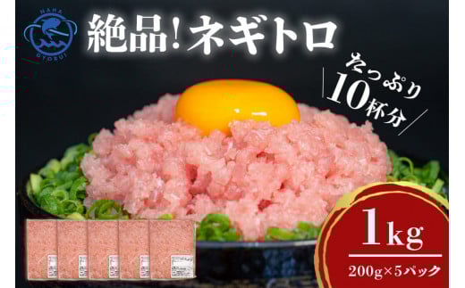 ネギトロ 業務用 1kg (200g×5P) 訳あり 訳あり 簡易包装 小分け マグロ まぐろ 鮪 まぐろたたき ねぎとろ 寿司 沖縄県産 キハダマグロ 1キロ 沖縄 産地直送 手巻き寿司 ねぎとろ丼 まぐろのたたき 海鮮丼 大容量 天然まぐろ 天然マグロ 冷凍 個包装 沖縄県 糸満市