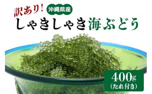 【訳あり】 しゃきしゃき海ぶどう 400g 訳アリ 沖縄県 海ぶどう 海ブドウ ウミブドウ 沖縄 大人気 特産物 お土産 健康 栄養 美容 美肌 ダイエット ミネラル マグネシウム カルシウム 鉄分 タレ付き おつまみ うみぶどう 海藻 グリーンキャビア  沖縄県 糸満市