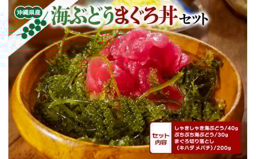 沖縄県産 海ぶどう まぐろ丼 セット しゃきしゃき海ぶどう 40g ぷちぷち海ぶどう 30g まぐろ 切り落とし ( キハダ メバチ ) 200g マグロ マグロ丼 鮪 海ブドウ 海鮮丼 海ぶどう丼 ご当地グルメ 沖縄グルメ 沖縄 特産品 お土産 沖縄県 糸満市