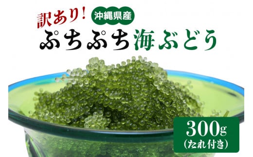 【訳あり】 ぷちぷち海ぶどう 300g 訳アリ 沖縄県 海ぶどう 海ブドウ ウミブドウ 沖縄 大人気 特産物 お土産 健康 栄養 美容 美肌 ダイエット ミネラル マグネシウム カルシウム 鉄分 タレ付き おつまみ うみぶどう 海藻 グリーンキャビア   沖縄県 糸満市