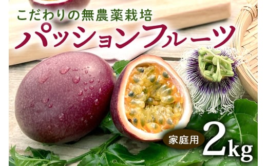 【 先行予約 2026年 発送 】こだわりの無農薬栽培 パッションフルーツ 2kg <ご家庭用> 果物 フルーツ くだもの 2キロ 沖縄 果実 南国フルーツ 沖縄県産 美味しい 甘い あまい 甘み 酸味 爽やか 産地直送 農家直送 産直 家庭用 沖縄県 糸満市