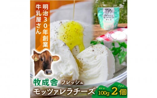 <牧成舎>飛騨の牛乳屋さんが作った こだわりの フレッシュモッツァレラチーズ(100g×2個)| チーズ 国産 乳製品 牛乳 低温殺菌 おいしい ナチュラルチーズ モッツァレラ  (有)牧成舎 DF036