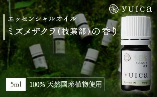 【yuica】エッセンシャルオイル ミズメザクラ枝葉部（5ml）| オイル アロマ リフレッシュ 自然 森林 正プラス BF018