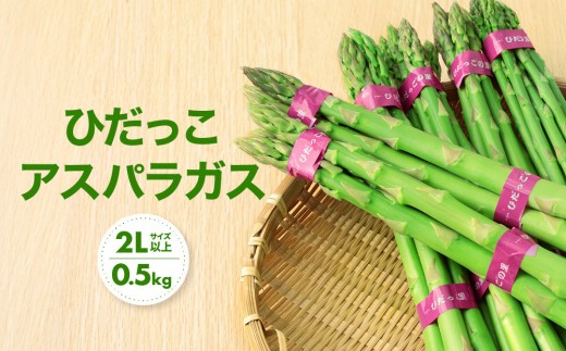 【2026年発送・先行受付】2Lサイズ以上 ひだっこアスパラガス 0.5kg | アスパラ 野菜 やさい 産地直送 春 夏野菜 採れたて グリーンアスパラガス 期間限定 人気 おいしい ひだっこの里 CM003VC01