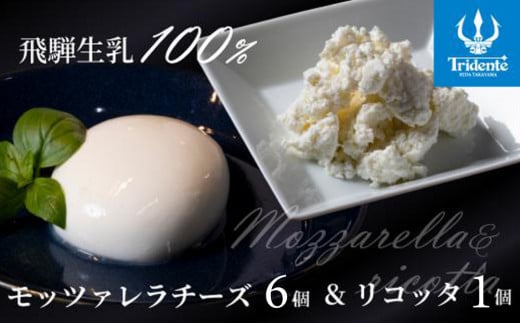 飛騨生乳100％ モッツァレラ6個 & リコッタ1個セット | セット チーズ 冷蔵 濃厚 低温殺菌 乳製品 おいしい 人気 チーズ工房トリデンテ LF016