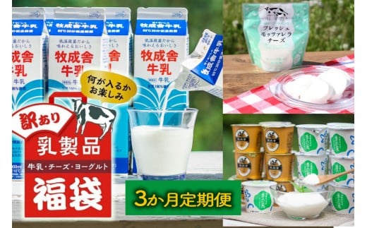【3か月定期便】牧成舎の訳あり乳製品福袋（牛乳・ヨーグルト・チーズ詰め合わせ）訳あり 福袋 乳製品 チーズ 詰め合せ | 牧成舎 DF228