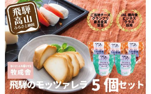 【寄附額見直しました！】＜牧成舎＞ご当地チーズグランプリ 最高金賞受賞 飛騨の牛乳屋のこだわりモッツァレラ 2種セット（5個入り） DF015