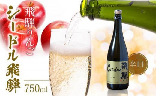 飛騨りんご シードル飛騨 辛口 750ml | スパークリング スパークリングワイン シードル お酒 果実酒 りんご リンゴ 林檎 ワイン 飛騨高山 木戸脇果樹園オーチャードハウス FP001