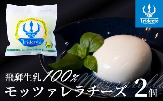 飛騨生乳100% モッツァレラチーズ 2個(1個125g)| チーズ モッツァレラ 冷蔵 個包装 カプレーゼ パスタ ピザ 前菜 サラダ 新鮮 生乳 国産 低温殺菌 乳製品 無添加 飛騨高山 チーズ工房トリデンテ LF001
