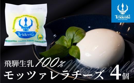 飛騨生乳100％ モッツァレラチーズ 4個（1個125g）| チーズ モッツァレラ 冷蔵  個包装 カプレーゼ パスタ ピザ  前菜 サラダ 新鮮 生乳 国産 低温殺菌 乳製品 無添加 飛騨高山 チーズ工房トリデンテ LF002