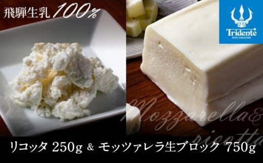 飛騨生乳100% リコッタチーズ 1個(250g)& モッツァレラチーズ生ブロック 1個(750g)| リコッタ モッツァレラブロック 冷蔵 サラダ お菓子 低温殺菌 新鮮 国産 乳製品 無添加 飛騨高山 チーズ工房トリデンテ LF007