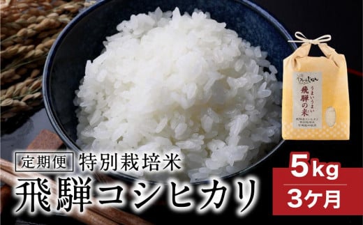 【定期便 3ヶ月】（全3回）令和7年産 新米 特別栽培米 飛騨コシヒカリ 「うまいうまい飛騨の米」5kg | 白米 お米 節減農薬米 のし対応 飛騨高山 ファームジネンいいむら GG100