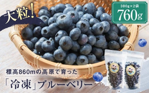 治助ファームの北部ハイブッシュブルーベリー「冷凍果実」380g×2袋 | 国産 フルーツ ブルーベリー おやつ 製菓 冷凍 果物 冷凍フルーツ 飛騨高山 治助ファーム LJ004VC13