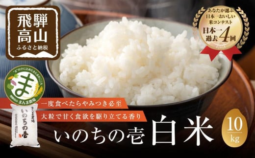 【令和7年度産 新米】飛騨いのちの壱 10kg 特別栽培米 |  金賞受賞農家 品種別金賞 日本一4度受賞 飛騨 まんま農場 LT013VC13