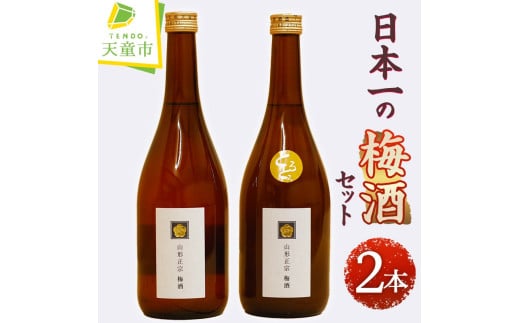 07-18-006 日本一の梅酒セット