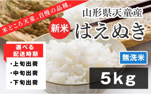 07-01-155-12A　はえぬき 無洗米5kg　[2025年12月上旬発送・令和7年産]
