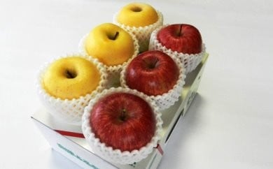 07-02-027 紅黄りんごセット2kg