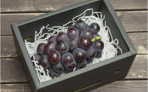 08-06-004　ぶどう(種なしピオーネ)600g