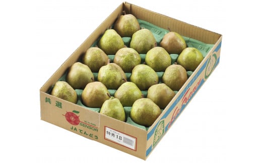 07-01-043 ラ・フランス5kg