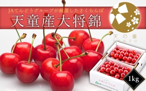 08-01-031　さくらんぼ(大将錦)1kg