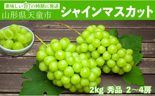 08-06-025　ぶどう(シャインマスカット)約2kg