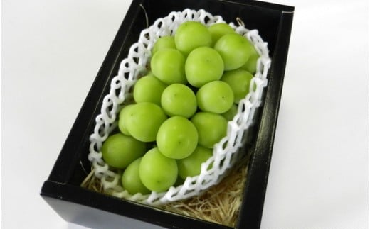 08-02-014　ぶどう(シャインマスカット)1房