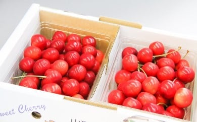 08-04-006　さくらんぼ(紅秀峰)1kg