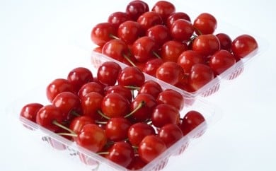 08-05-002　さくらんぼ(紅秀峰)600g