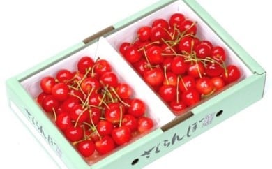 08-05-012　さくらんぼ(佐藤錦)1kg
