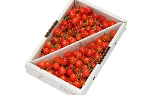 08-03-021　さくらんぼ(佐藤錦)1kg