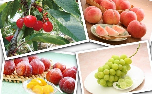 08-01-037　天童の恵み頒布会(定期便)全4回