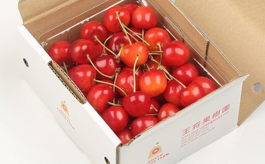 08-03-018　さくらんぼ(紅秀峰)500g