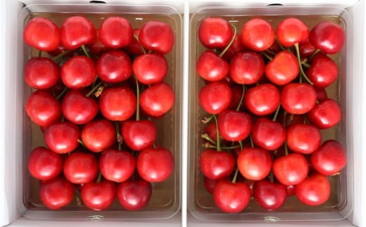 08-09-002　さくらんぼ(紅秀峰)700g