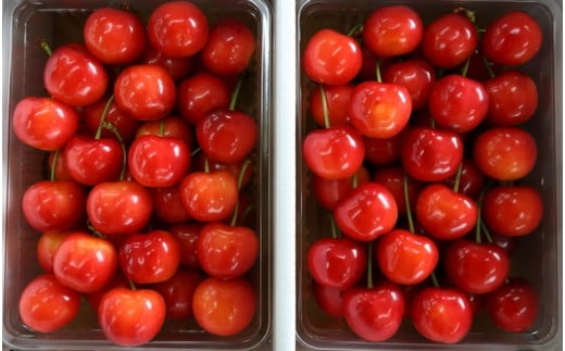 08-09-004　さくらんぼ(紅秀峰)1kg