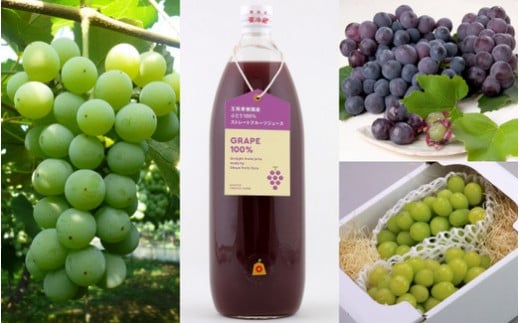 08-03-035　ぶどうクラブ(定期便)全3回