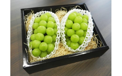 08-02-017　ぶどう(シャインマスカット)2房