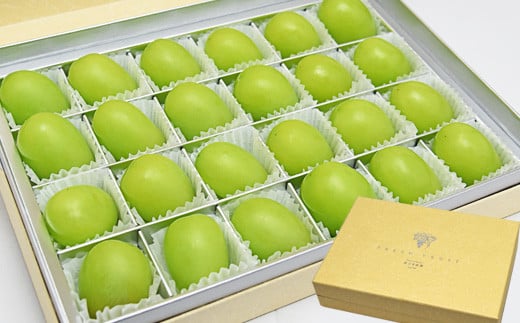 08-10-011　ぶどう(シャインマスカット)ジュエリーボックス